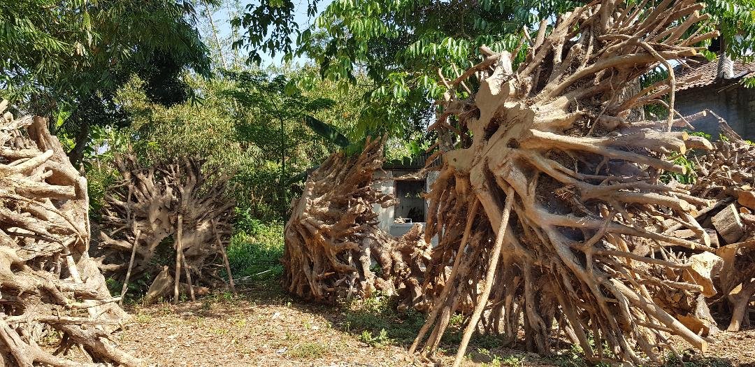 Teak-furniture-reclaimed-teak-chair-recycle-teak-from-indonesia-jepara-blora-sjp-antiek-saranajatiperkasa-old-furniture-bench-table-coffe-table-cabinet-cheap-price-high-quality